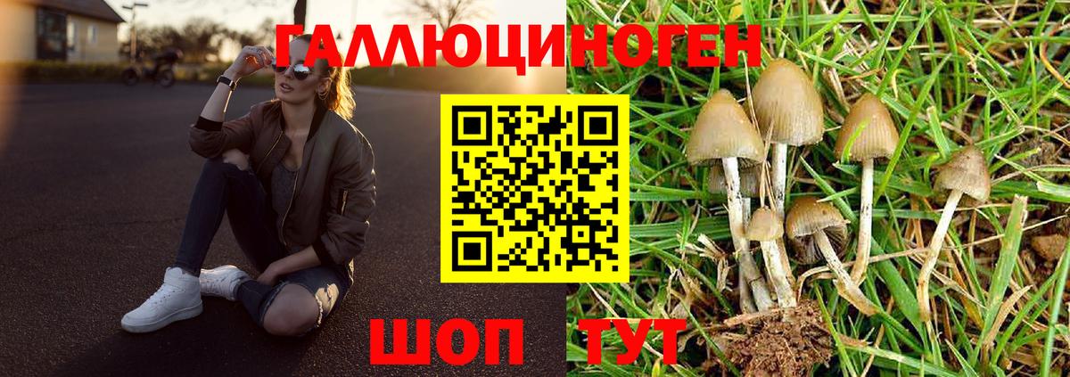 Псилоцибиновые грибы мухоморы Североуральск
